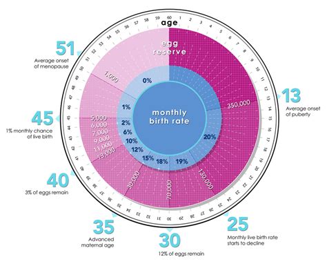 가임기 계산기: 생물학적 시계와 현대 사회의 교차로