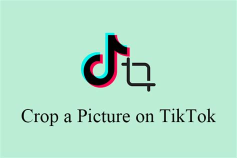 How to Crop a TikTok Video: Unlocking the Secrets of Vertical Storytelling