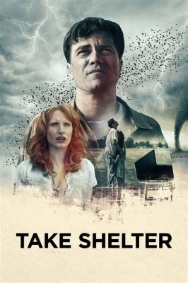 What is the movie Take Shelter about, and how does it explore the thin line between reality and delusion?