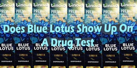 Will Blue Lotus Show Drug Test: Exploring the Mysteries and Realities