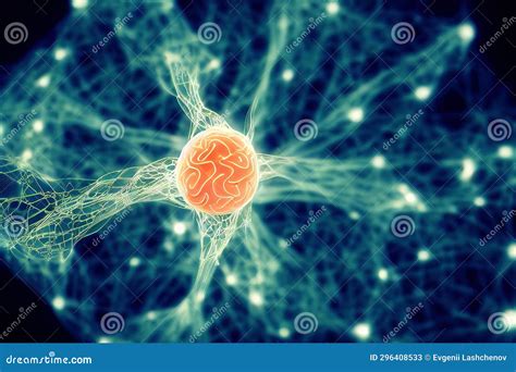 Will MRI Show Nerve Damage: Exploring the Intricacies of Medical Imaging and Neural Pathways