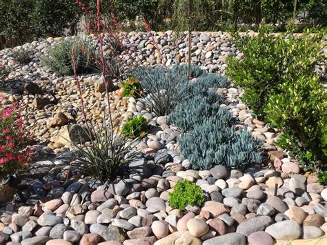   Xeriscape Gardening for Beginners: A Journey Through Nature’s Resilience and Ethiopian Wisdom